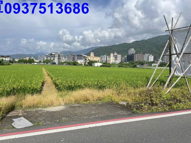 宜蘭礁溪農地-4