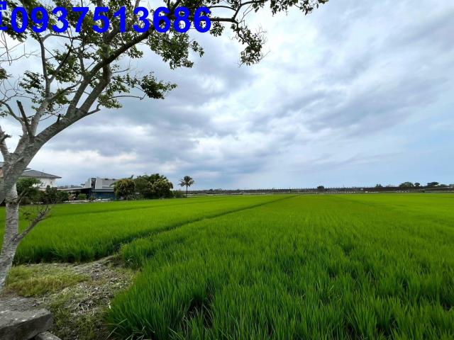 宜蘭壯圍農地-9
