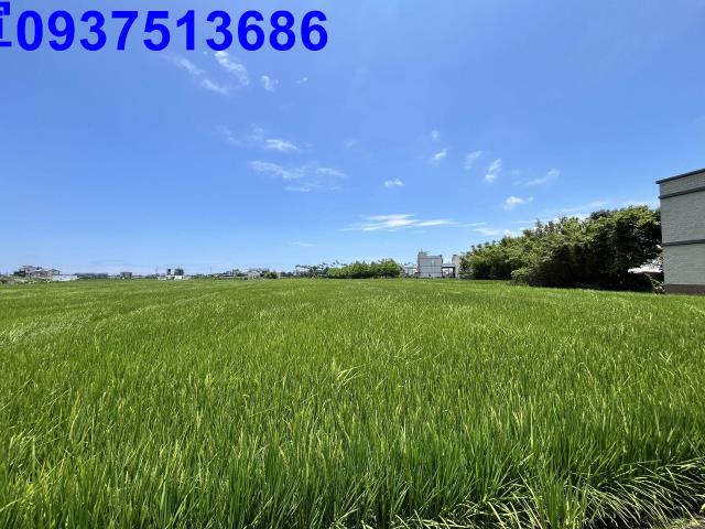 宜蘭壯圍農地-14