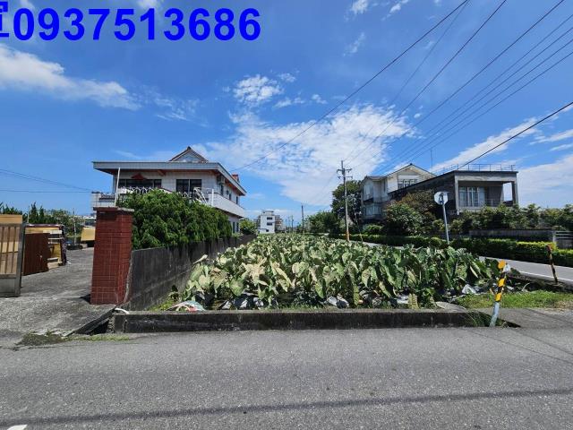 宜蘭羅東農地-6