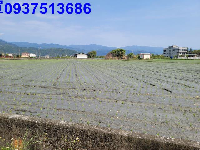 員山農地-2