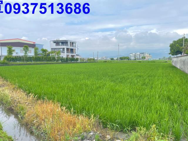 宜蘭壯圍農地-2