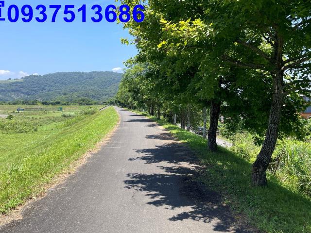 宜蘭冬山農地-13