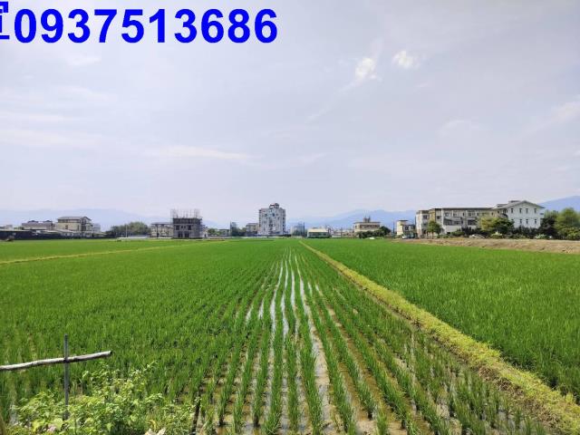 員山農地-1