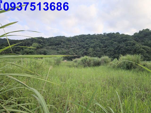 宜蘭農地-1