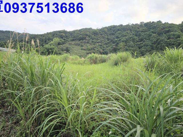 宜蘭農地-3