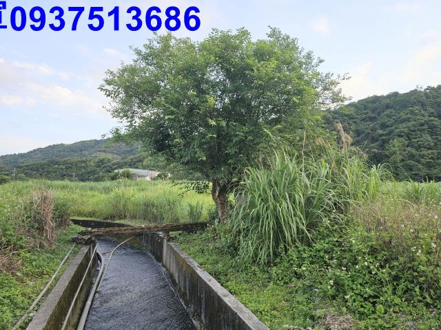 宜蘭農地-9
