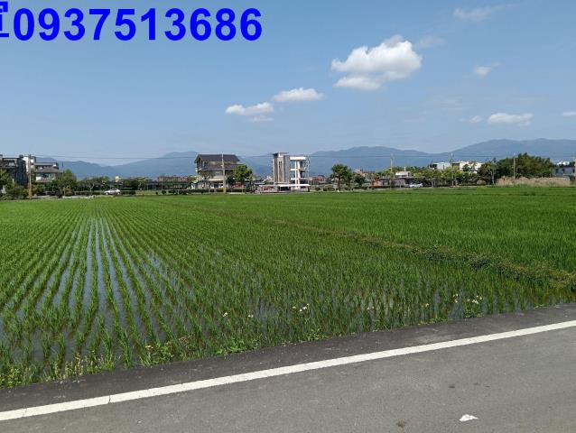 宜蘭農地-0