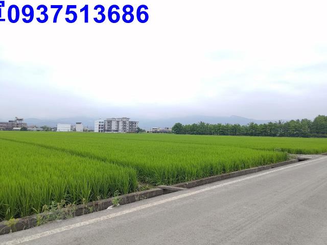 宜蘭農地-3