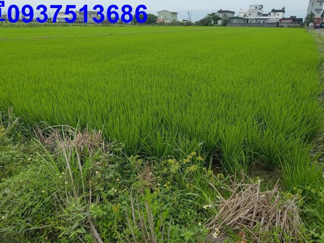 宜蘭農地-3