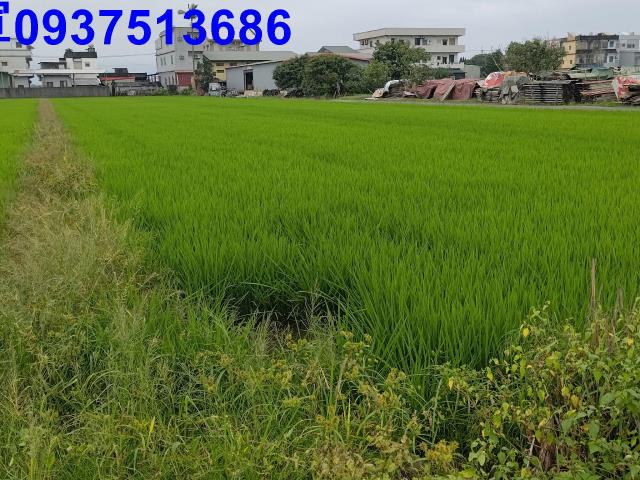 宜蘭農地-5