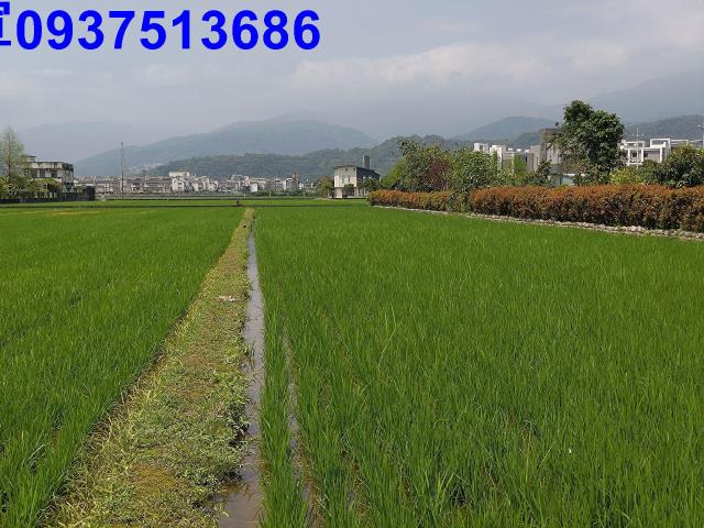 宜蘭礁溪農地-5