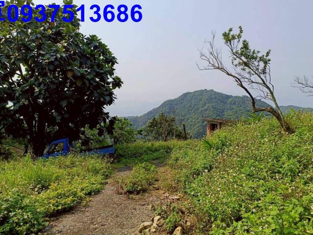 宜蘭員山農地-10