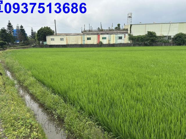 宜蘭宜蘭市農地-11