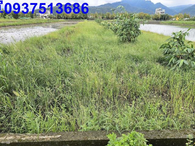 宜蘭員山農地-1