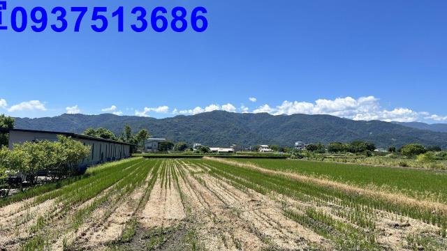 宜蘭三星農地-12