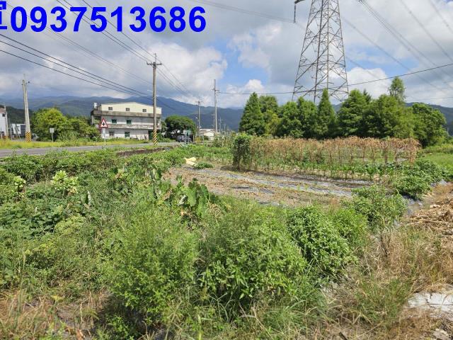 宜蘭員山農地-10