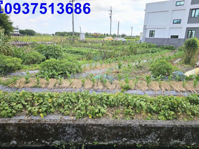 宜蘭員山農地-2
