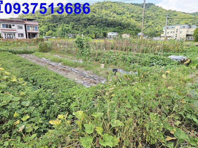 宜蘭員山農地-3
