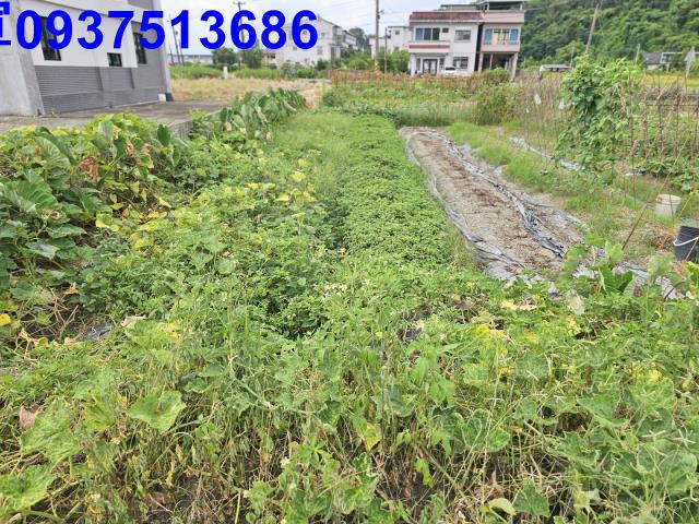 宜蘭員山農地-5