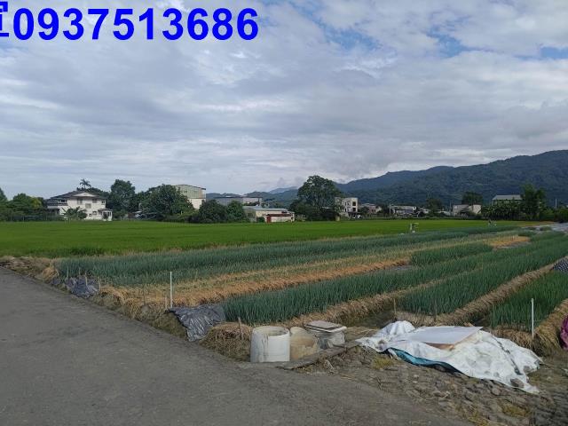 宜蘭三星農地-9