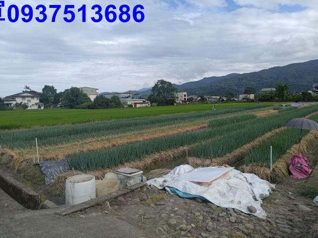 宜蘭三星農地-5