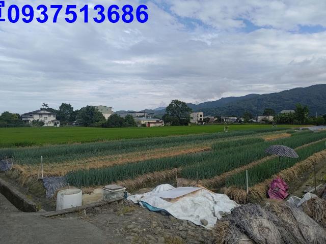 宜蘭三星農地-6