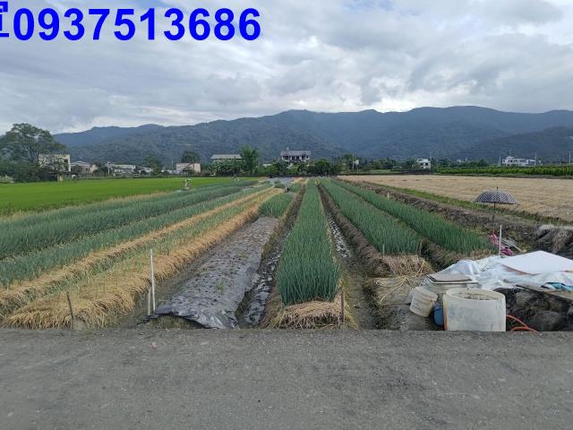 宜蘭三星農地-8