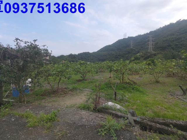 宜蘭員山農地-12