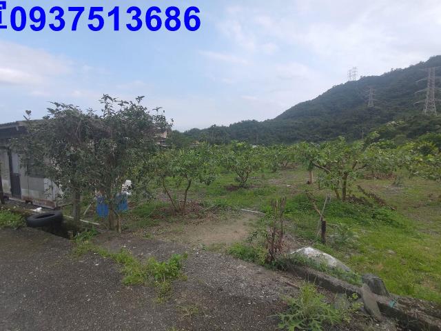 宜蘭員山農地-0