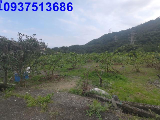 宜蘭員山農地-5