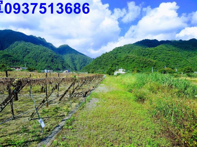 宜蘭員山農地-0