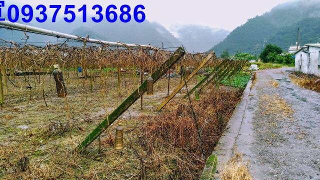 宜蘭員山農地-7