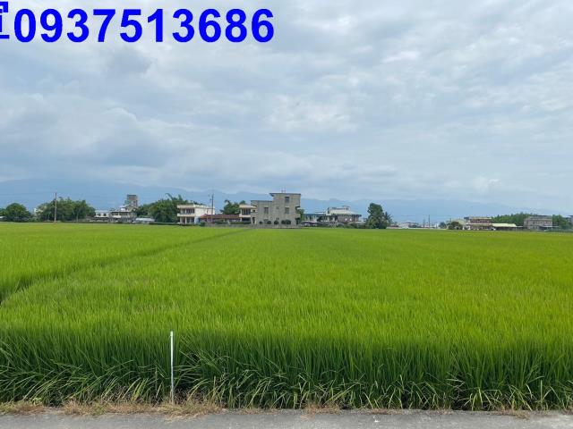 壯圍農地-4
