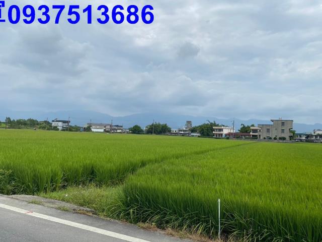 壯圍農地-3
