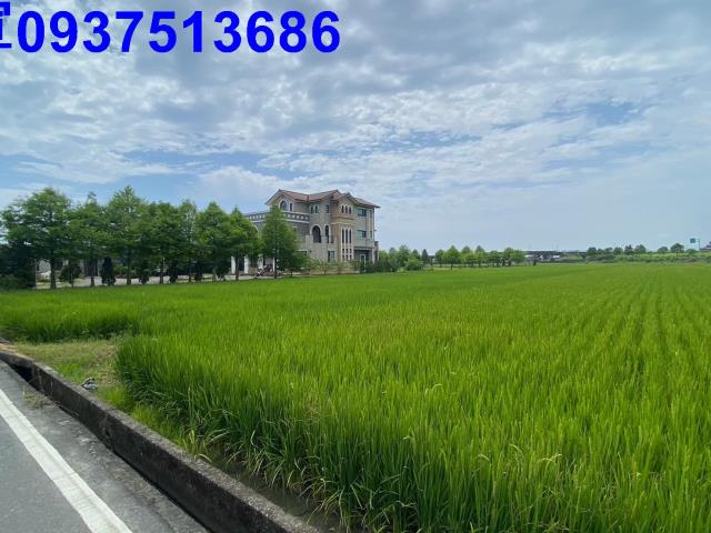 壯圍農地-5