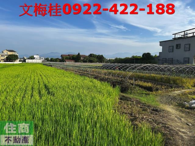 宜蘭農地-1