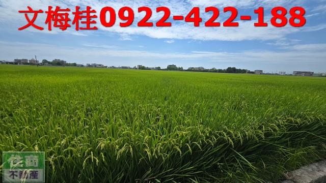 宜蘭農地-1